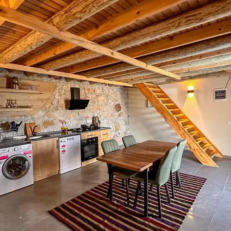 Otel Ikizler 1